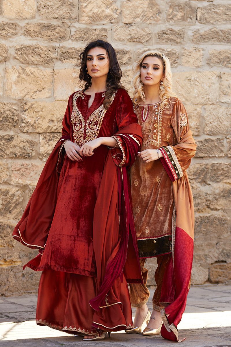 Pakistani Deep Rust Embroidered Velvet & Raw Silk Salwar Kameez (3-Piece) - Image 15