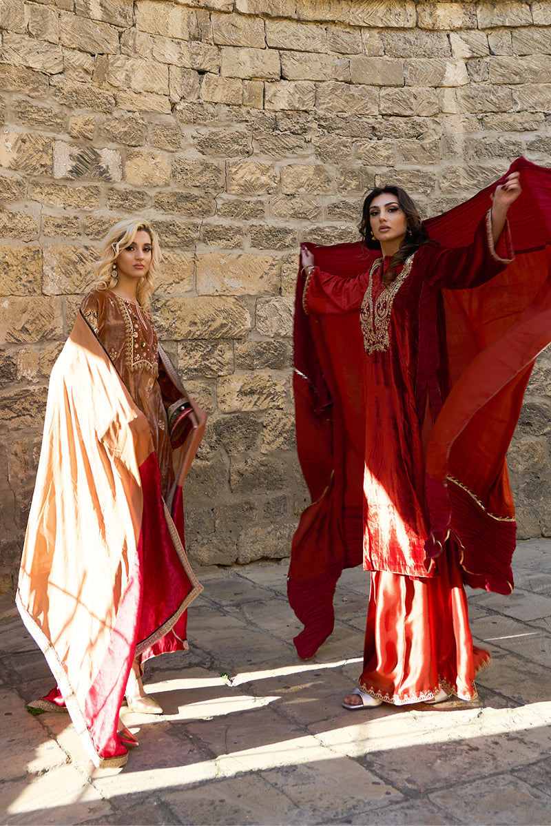 Pakistani Deep Rust Embroidered Velvet & Raw Silk Salwar Kameez (3-Piece) - Image 16