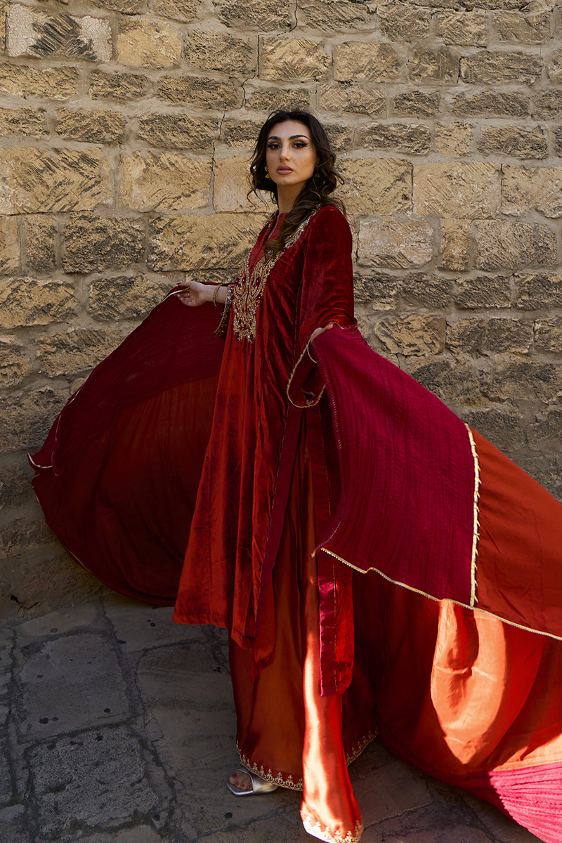 Pakistani Deep Rust Embroidered Velvet & Raw Silk Salwar Kameez (3-Piece) - Image 17