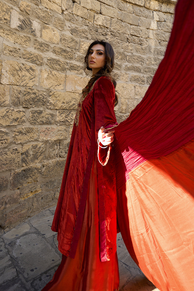 Pakistani Deep Rust Embroidered Velvet & Raw Silk Salwar Kameez (3-Piece) - Image 18