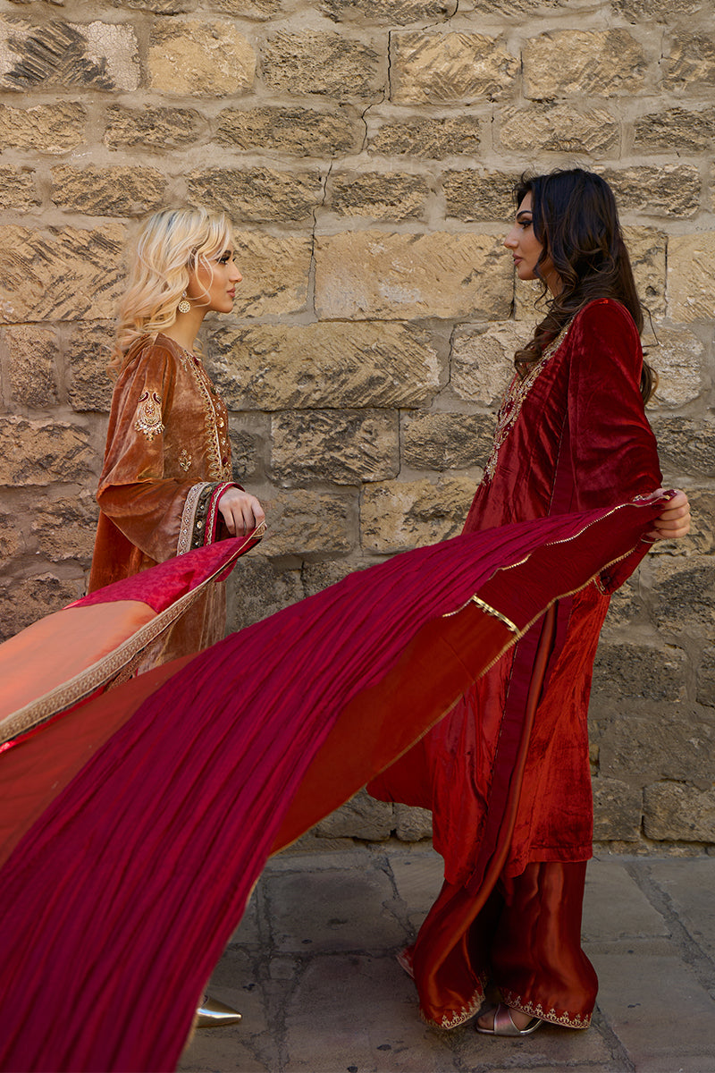 Pakistani Deep Rust Embroidered Velvet & Raw Silk Salwar Kameez (3-Piece) - Image 19