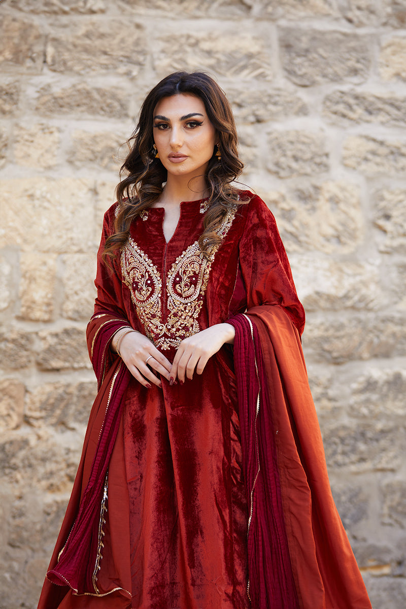 Pakistani Deep Rust Embroidered Velvet & Raw Silk Salwar Kameez (3-Piece) - Image 3