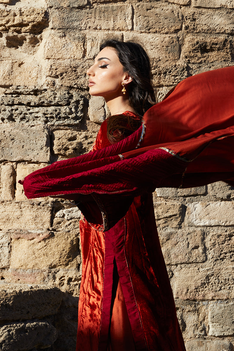 Pakistani Deep Rust Embroidered Velvet & Raw Silk Salwar Kameez (3-Piece) - Image 4
