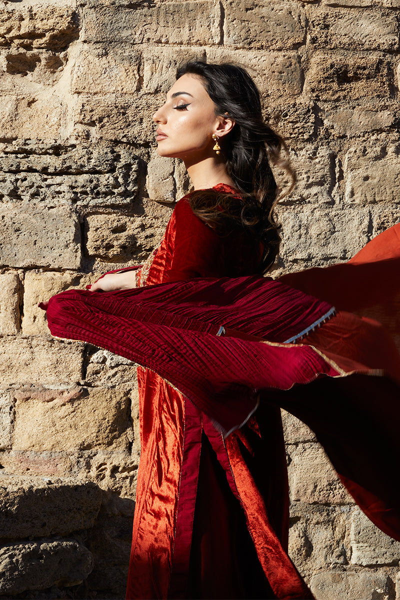 Pakistani Deep Rust Embroidered Velvet & Raw Silk Salwar Kameez (3-Piece) - Image 5