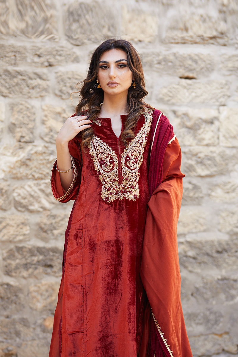 Pakistani Deep Rust Embroidered Velvet & Raw Silk Salwar Kameez (3-Piece) - Image 6