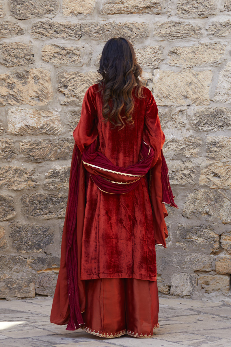 Pakistani Deep Rust Embroidered Velvet & Raw Silk Salwar Kameez (3-Piece) - Image 7