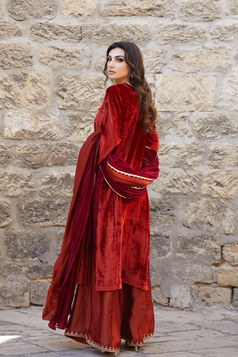 Pakistani Deep Rust Embroidered Velvet & Raw Silk Salwar Kameez (3-Piece) - Image 8