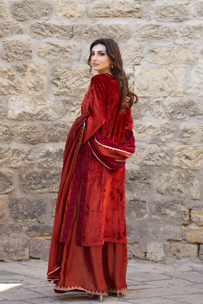 Pakistani Deep Rust Embroidered Velvet & Raw Silk Salwar Kameez (3-Piece) - Image 9