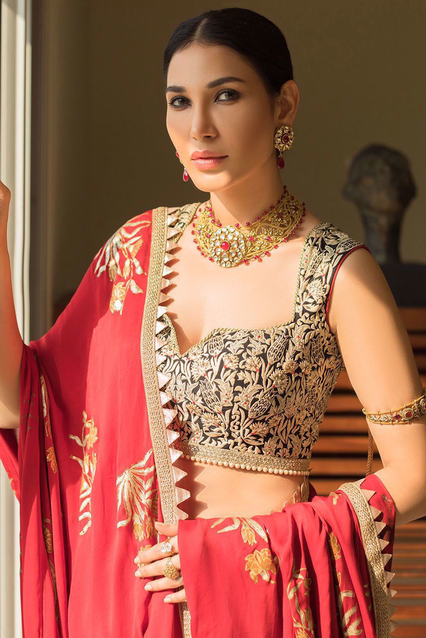 Pakistani Red Gara Embroidered Chiffon & Crepe Gharara Saree (2-Piece) - Image 2