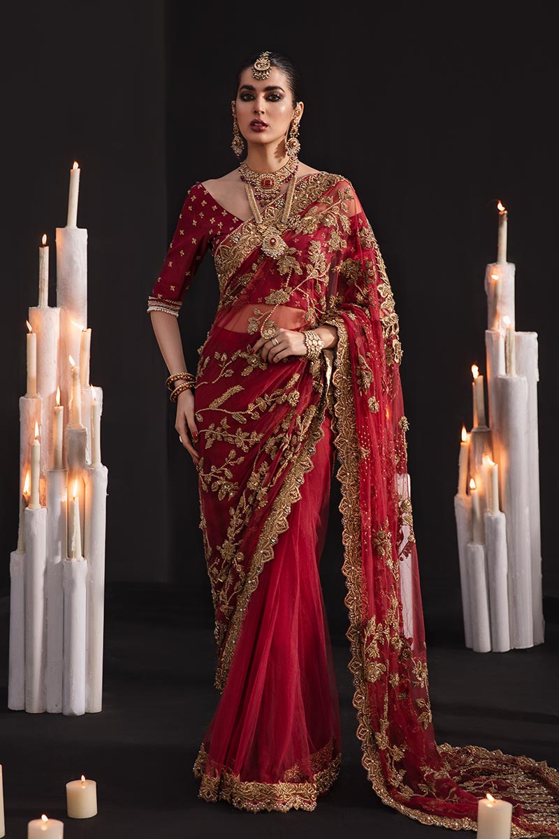 Pakistani Red Embroidered Net Saree (2-Piece) - Image 1