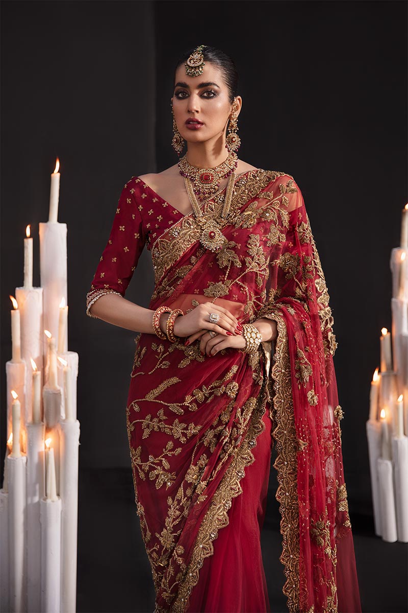 Pakistani Red Embroidered Net Saree (2-Piece) - Image 3