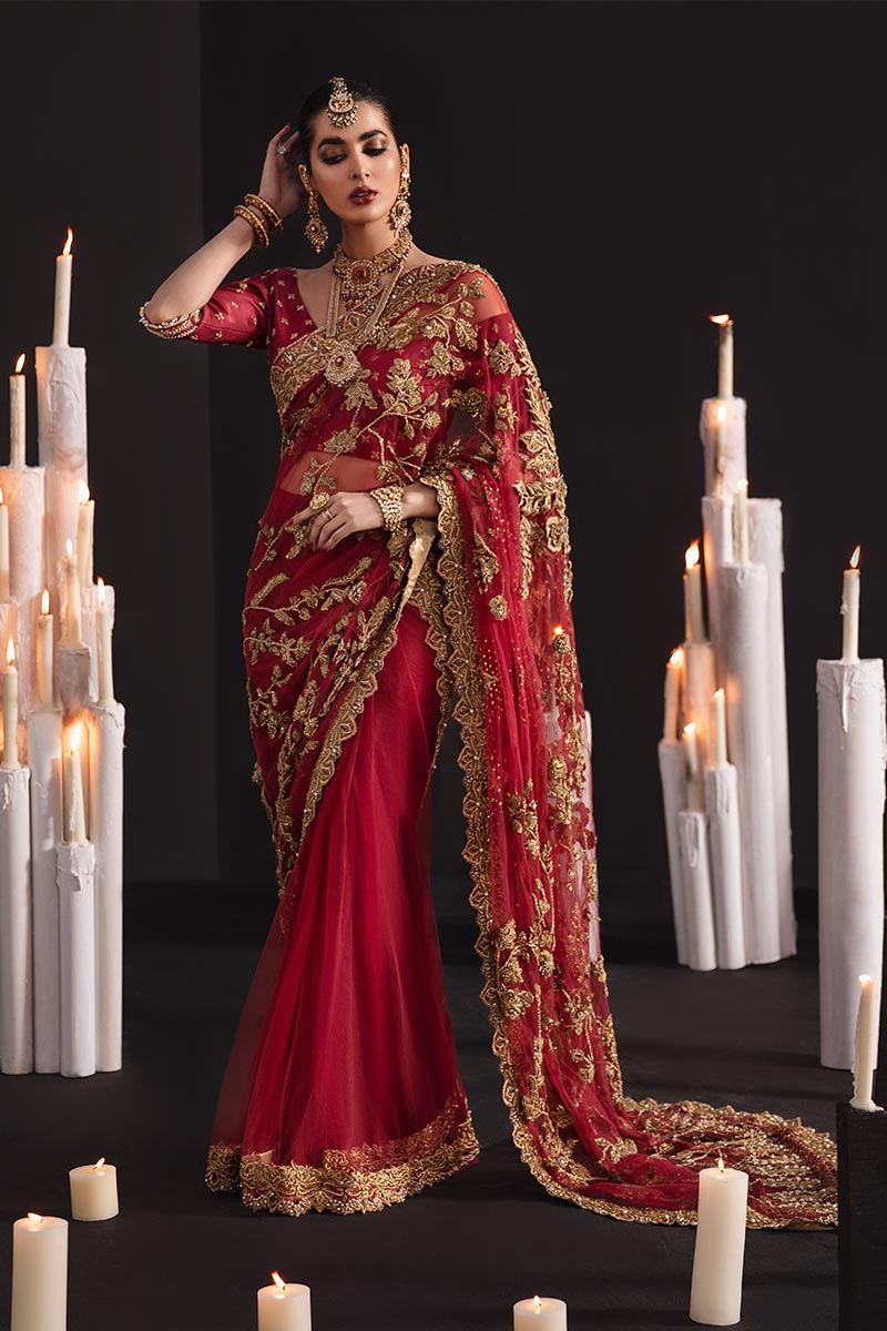 Pakistani Red Embroidered Net Saree (2-Piece) - Image 4