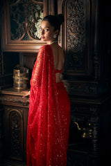 Indian Red Sequin Embroidered Net Saree (2-Piece) - Image 6