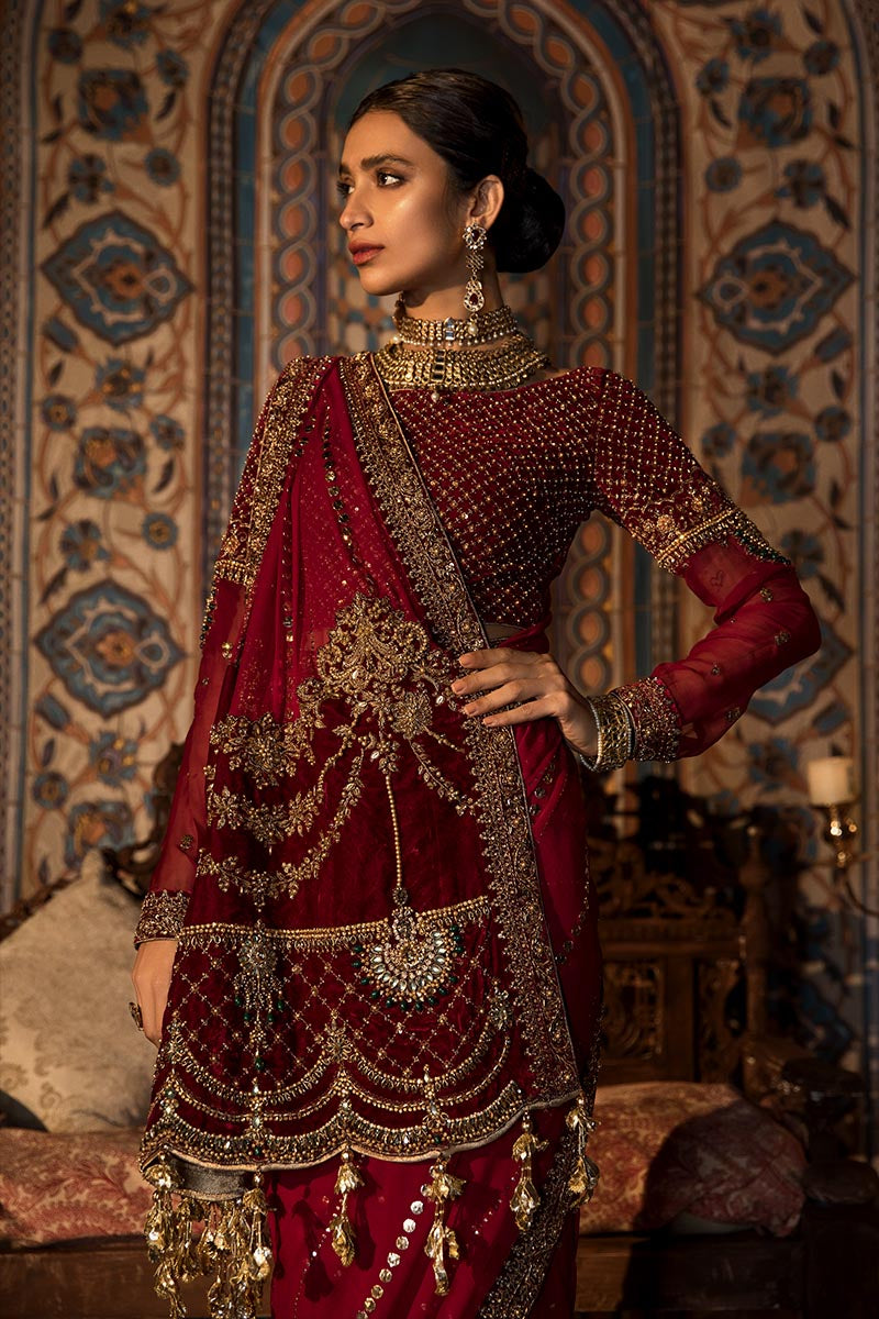 Pakistani Red Anari Embellished Velvet & Chiffon Saree (3-Piece) - Image 2