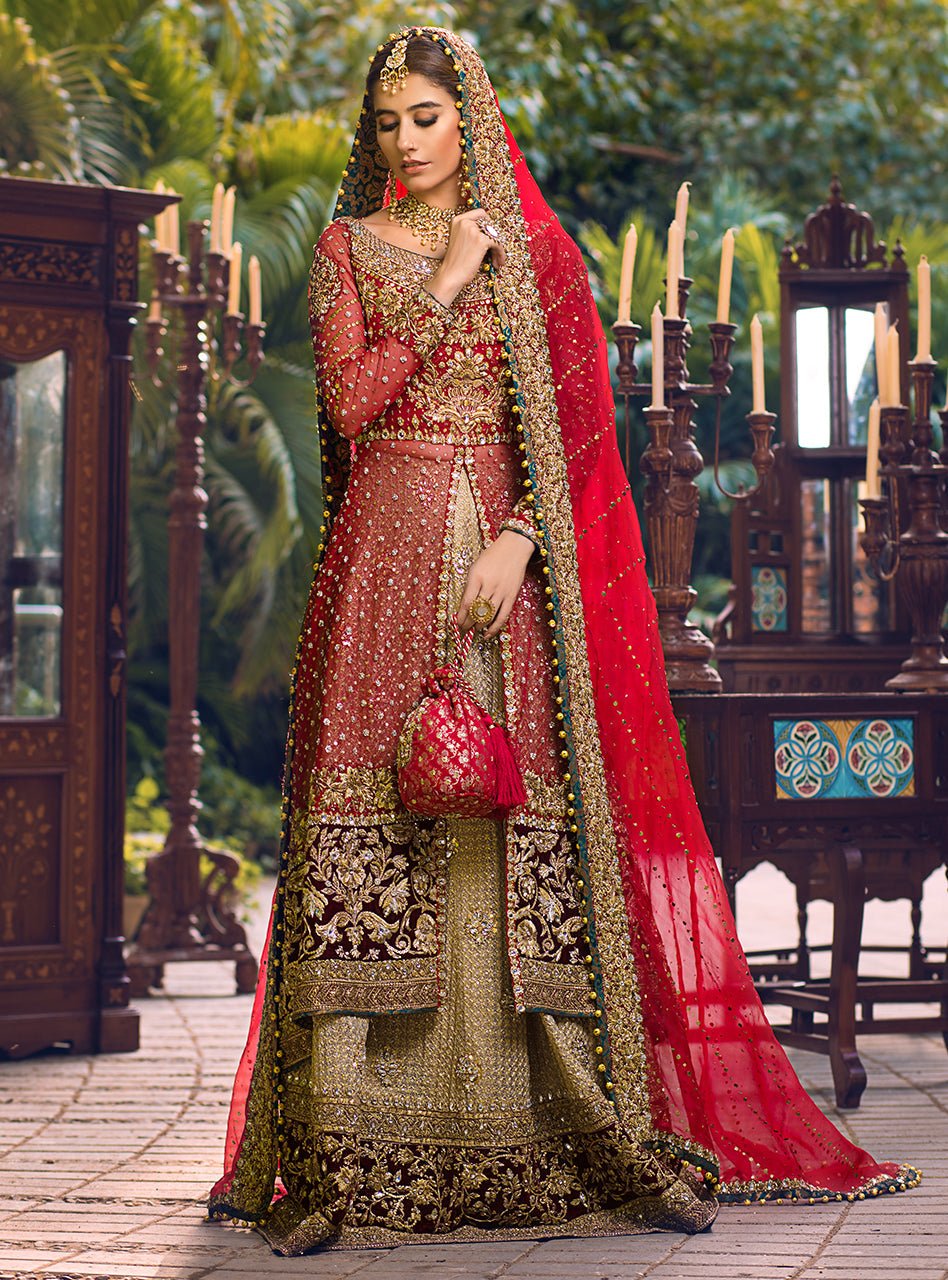 Pakistani Red Embroidered Net & Organza Bridal Gown (3-Piece) - Image 3