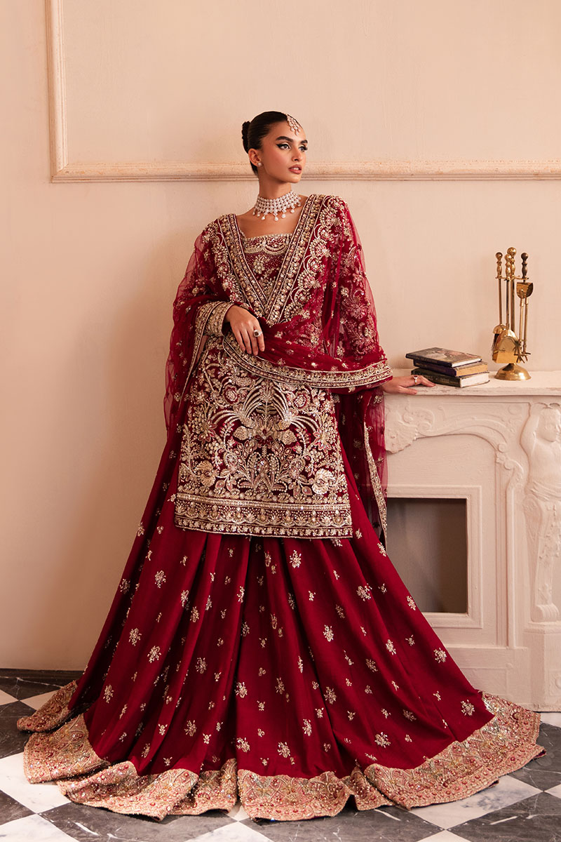 Pakistani Deep Red Embroidered Net Bridal Sharara (3-Piece) - Image 10
