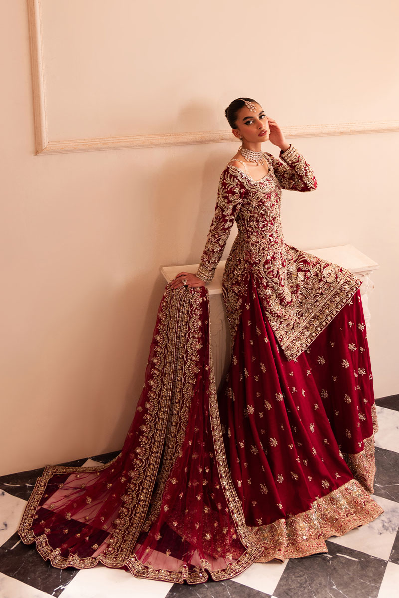 Pakistani Deep Red Embroidered Net Bridal Sharara (3-Piece) - Image 4