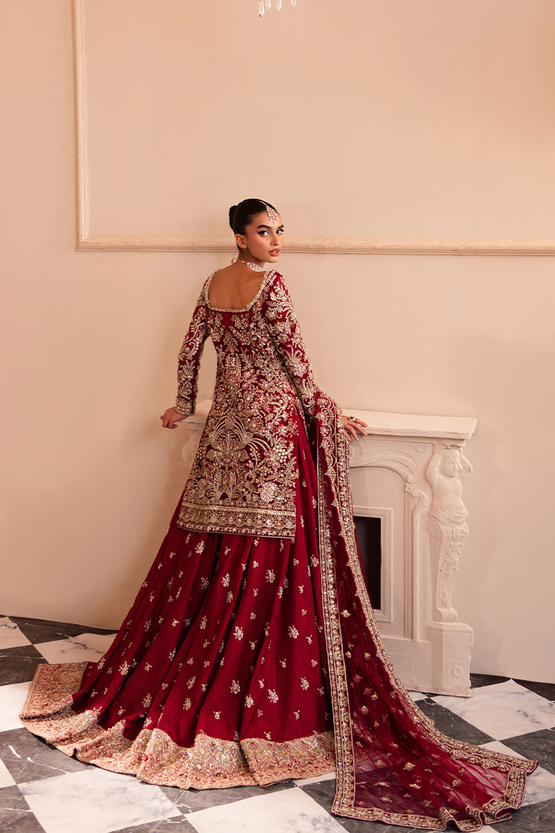 Pakistani Deep Red Embroidered Net Bridal Sharara (3-Piece) - Image 9