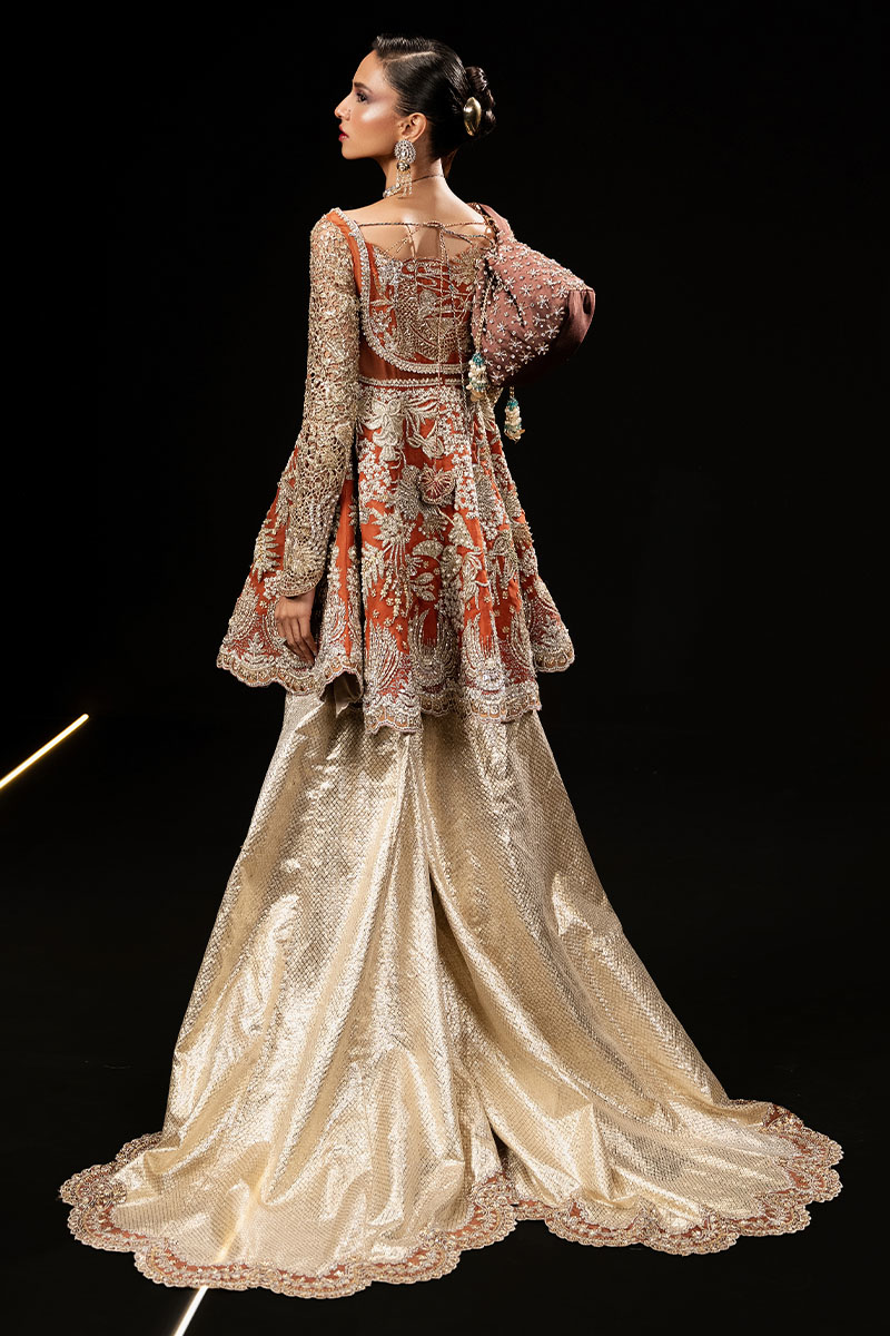 Rust Embellished Organza Peplum Sharara (3-Piece) - Image 5