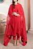 Pakistani Red Embroidered Cotton Net Salwar Kameez (3-Piece) - Image 2