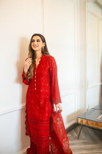 Pakistani Red Embroidered Cotton Net Salwar Kameez (3-Piece) - Image 1