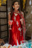 Carmine Red Hand-Embellished Khaddi Net Salwar Kameez (3-Piece) - Image 4