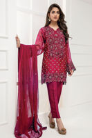 Chilli Red Hand-Embellished Organza Salwar Kameez (3-Piece) - Image 2