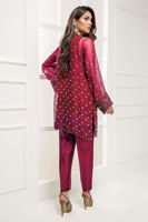 Chilli Red Hand-Embellished Organza Salwar Kameez (3-Piece) - Image 4