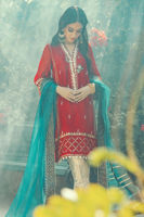 Pakistani Crimson Hand Block Printed Silk Net Salwar Kameez (3-Piece) - Image 3