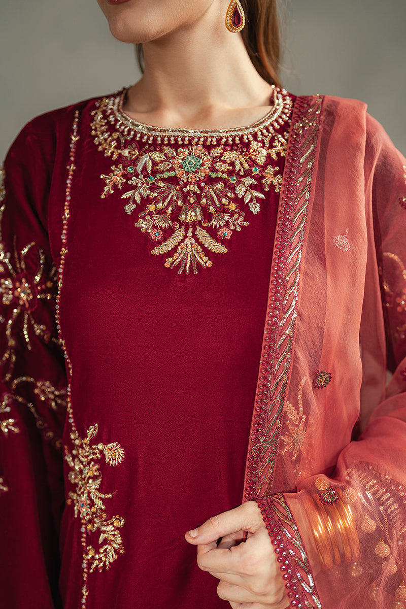 Pakistani Deep Red Embroidered Velvet Salwar Kameez (3-Piece) - Image 8