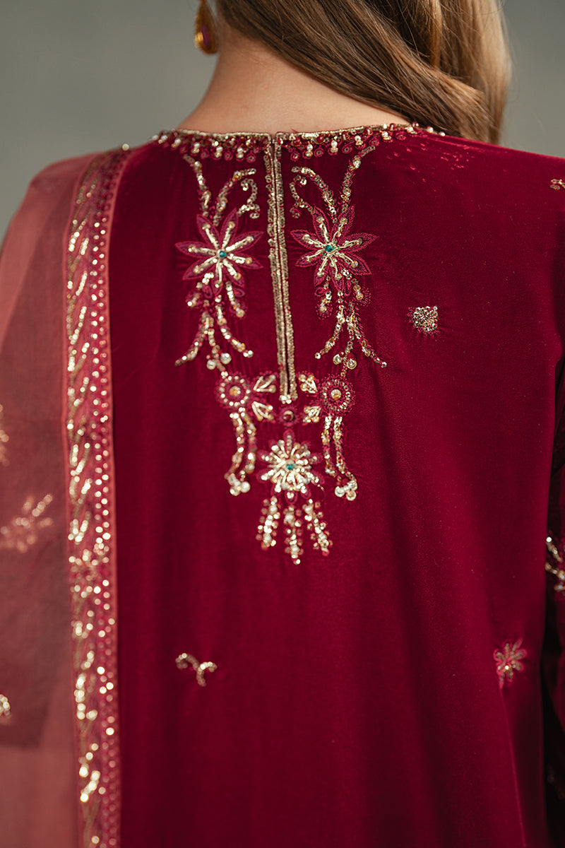 Pakistani Deep Red Embroidered Velvet Salwar Kameez (3-Piece) - Image 9