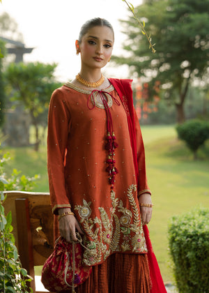 Indian Rust Embroidered Korean Silk Sharara Set (3-Piece) - Image 3