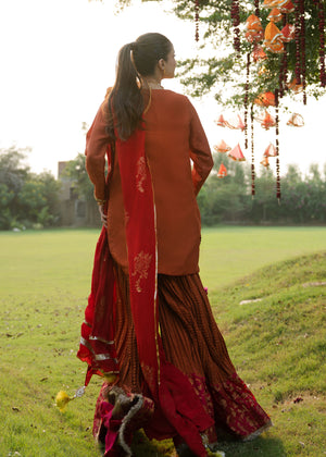 Indian Rust Embroidered Korean Silk Sharara Set (3-Piece) - Image 8