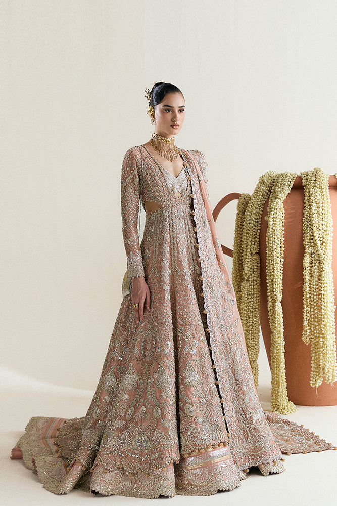 Rose-Gold Embroidered Tissue Pishwas Dress (3-Piece) - Image 1