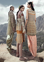 Rust Embellished Organza Jacket Satin Silk Dress (2-Piece) - Image 6