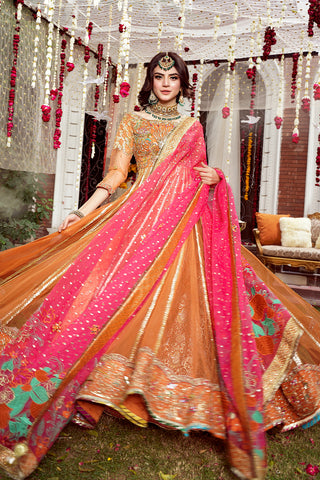 Rust Embroidered Net Pishwas Dress (3-Piece) - Image 2