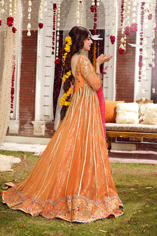 Rust Embroidered Net Pishwas Dress (3-Piece) - Image 3
