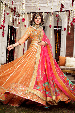 Rust Embroidered Net Pishwas Dress (3-Piece) - Image 4