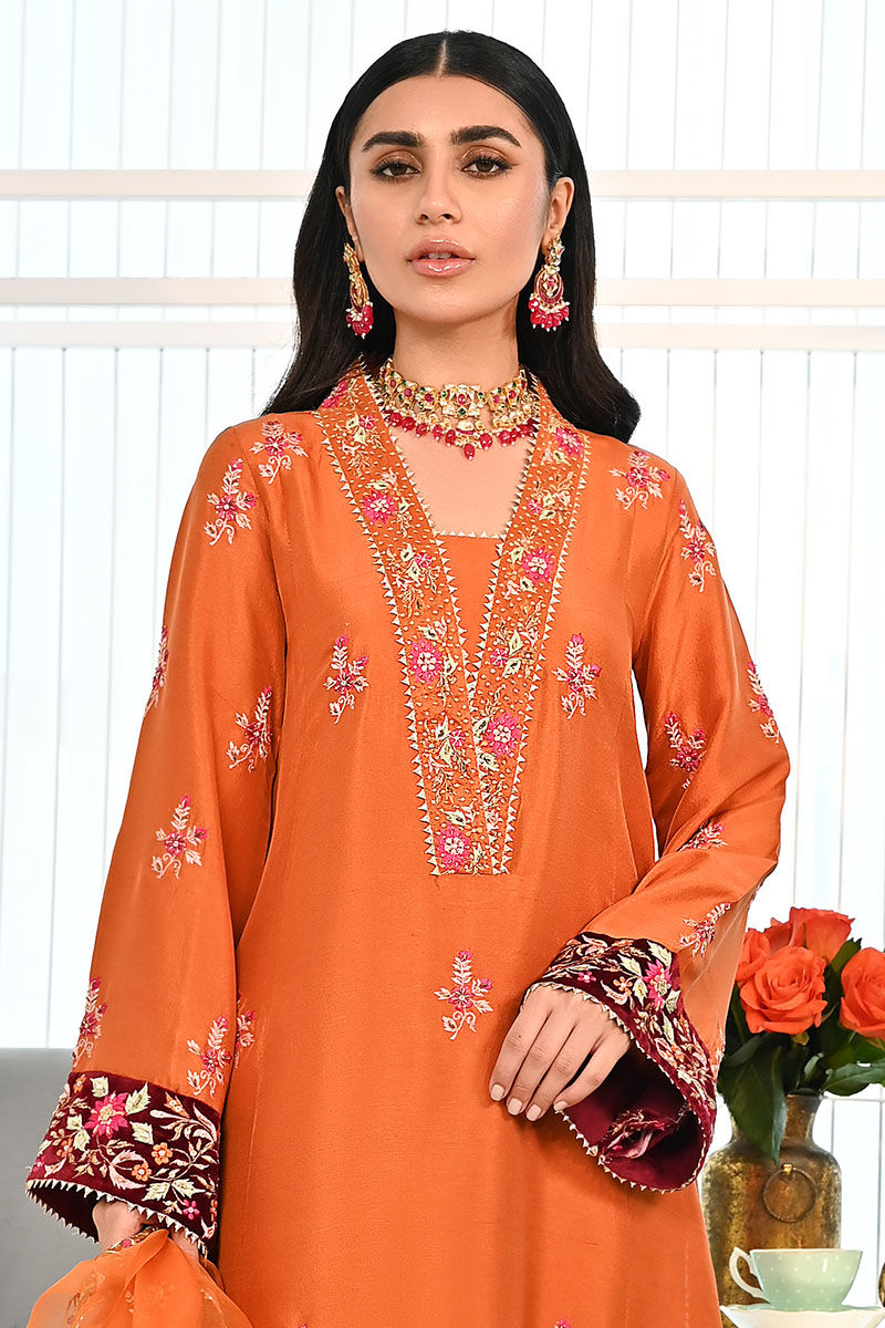Rust Embroidered Raw Silk Salwar Kameez (3-Piece) - Image 2