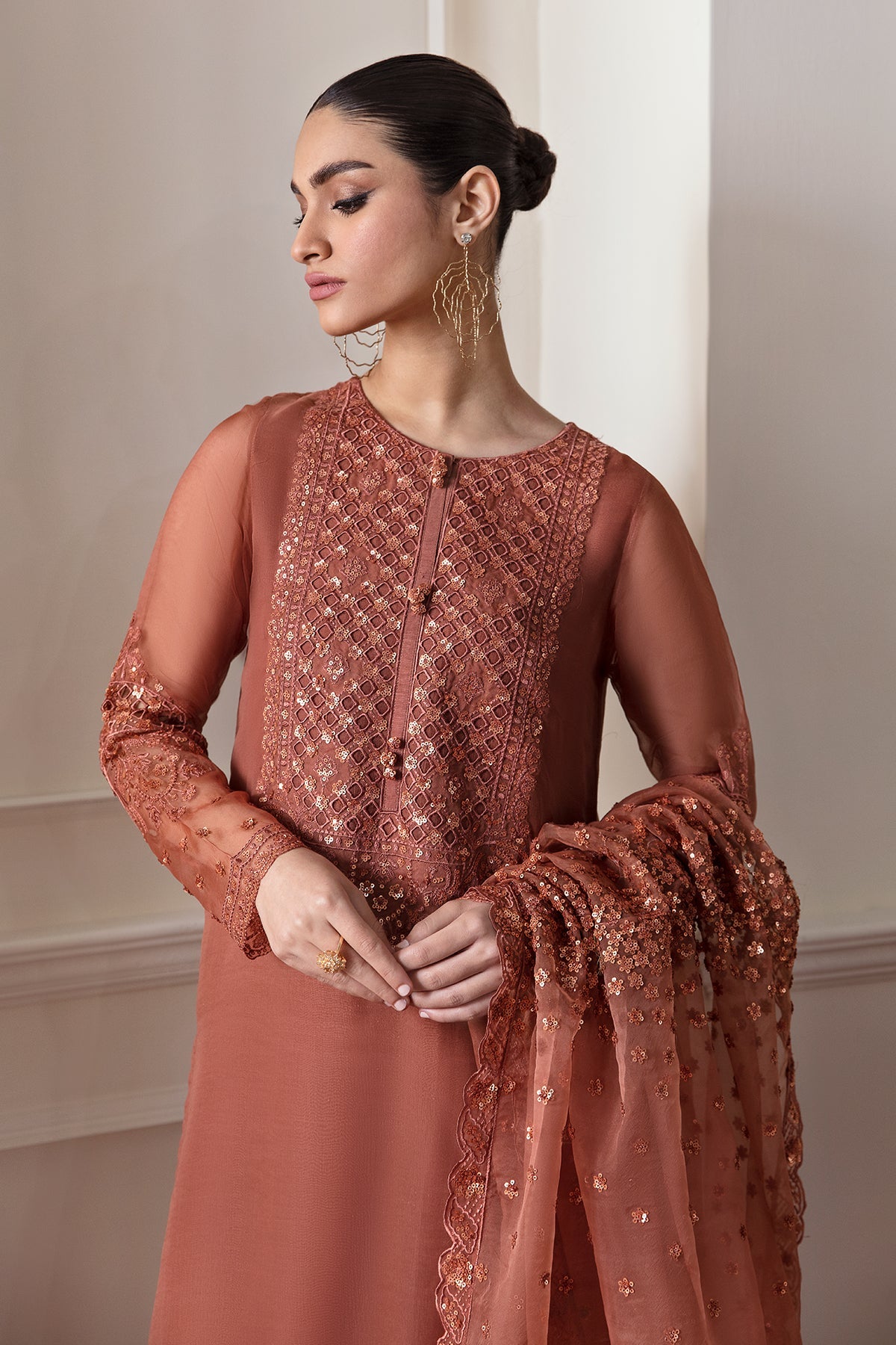 Pakistani Rust Embroidered Chiffon Salwar Kameez (3-Piece) - Image 4