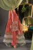 Pakistani Rust Ari Embroidered Organza & Raw Silk Shalwar Kameez (3-Piece) - Image 3