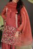 Pakistani Rust Ari Embroidered Organza & Raw Silk Shalwar Kameez (3-Piece) - Image 4