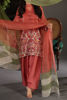 Pakistani Rust Ari Embroidered Organza & Raw Silk Shalwar Kameez (3-Piece) - Image 5