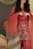 Pakistani Rust Ari Embroidered Organza & Raw Silk Shalwar Kameez (3-Piece) - Image 7