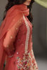 Pakistani Rust Ari Embroidered Organza & Raw Silk Shalwar Kameez (3-Piece) - Image 8