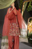 Pakistani Rust Ari Embroidered Organza & Raw Silk Shalwar Kameez (3-Piece) - Image 9