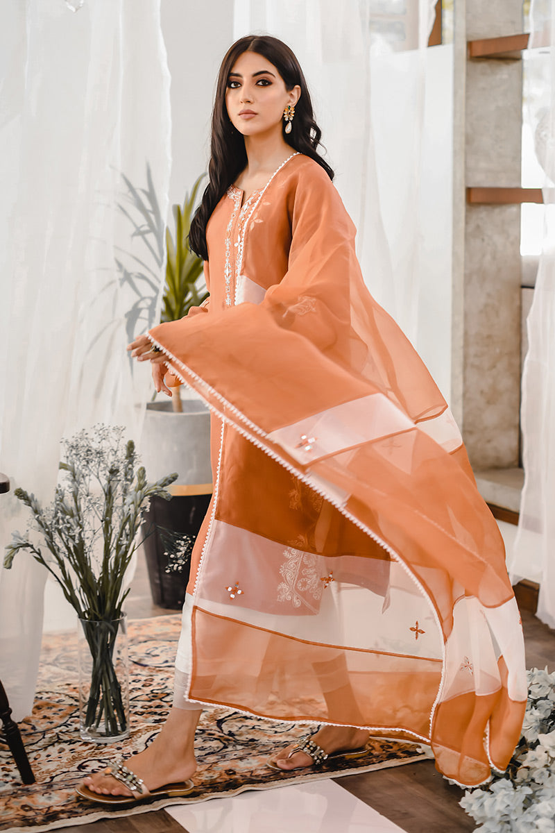 Pakistani Rust Embroidered Raw Silk Kurta Set (3-Piece) - Image 3