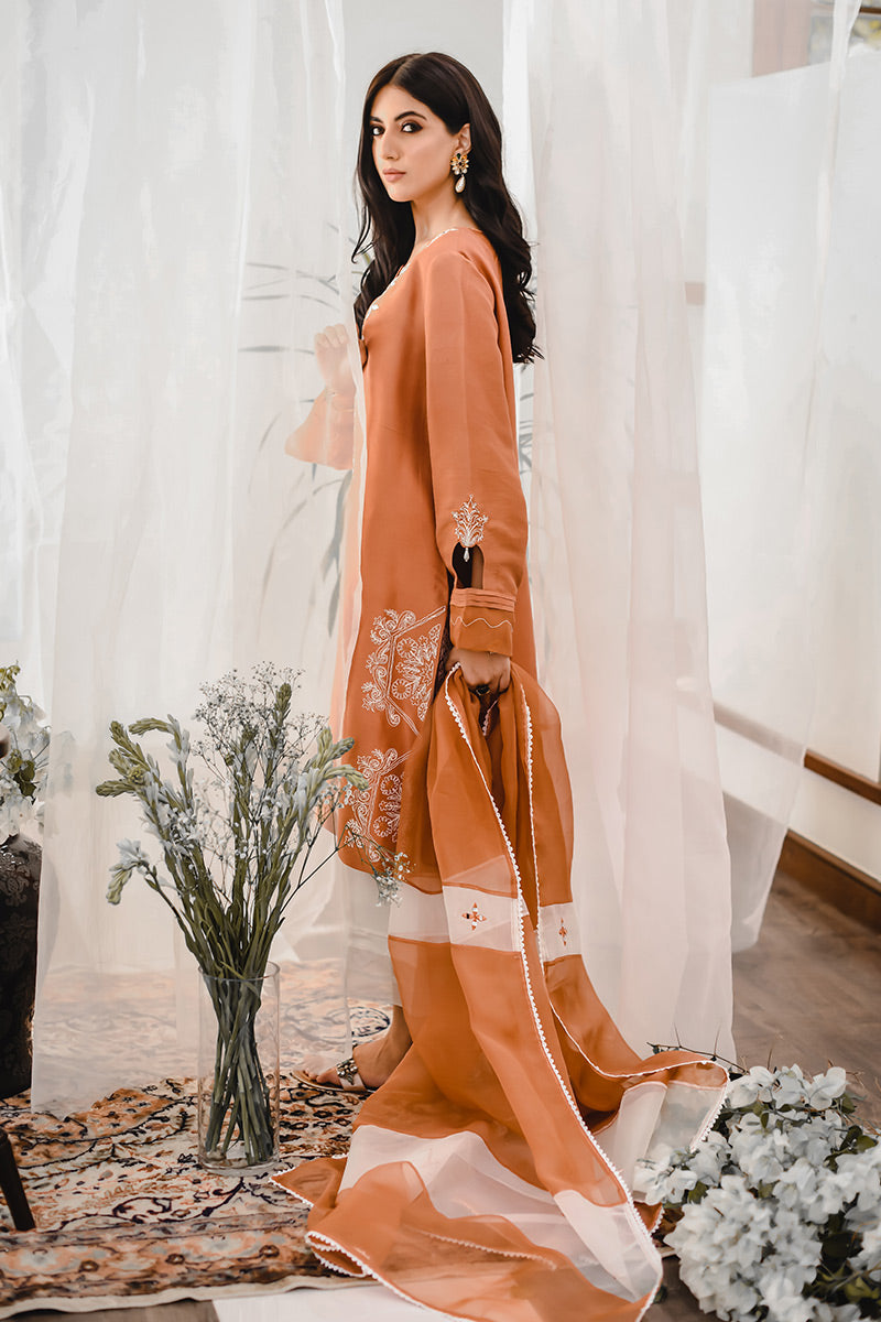 Pakistani Rust Embroidered Raw Silk Kurta Set (3-Piece) - Image 4
