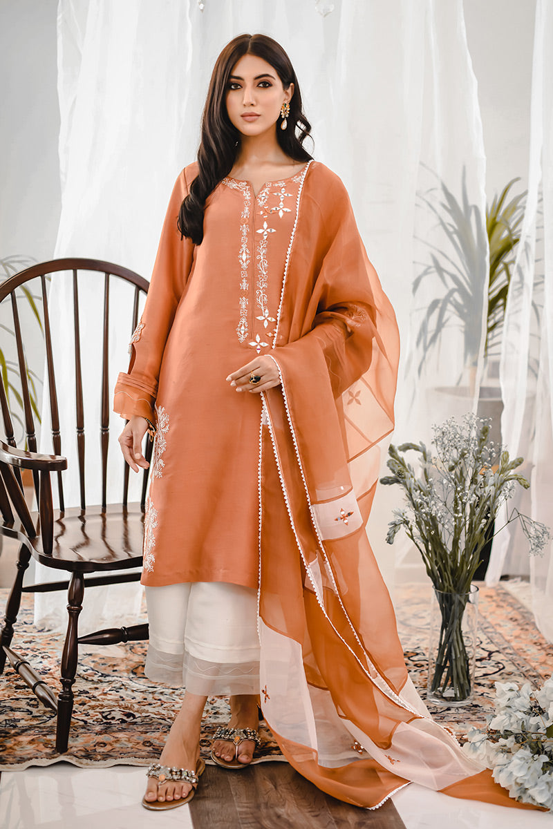 Rust Embroidered Raw Silk Salwar Kameez (3-Piece) - Image 1