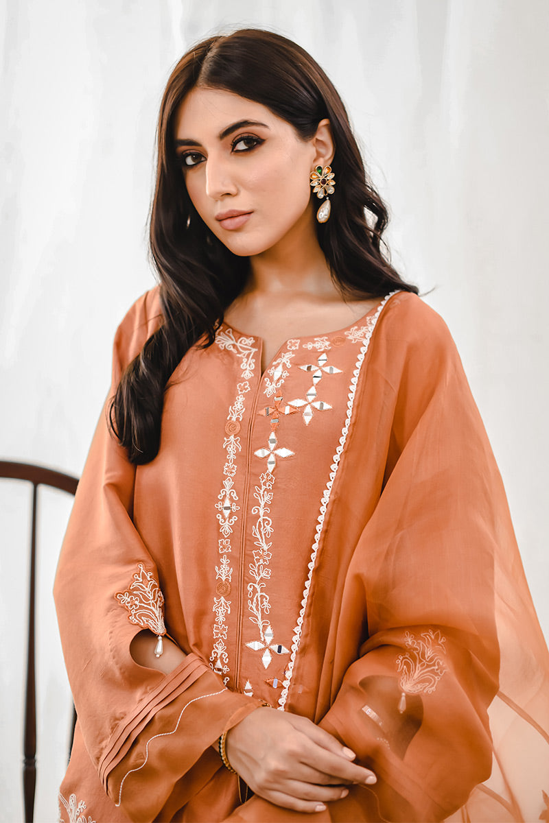 Rust Embroidered Raw Silk Salwar Kameez (3-Piece) - Image 5